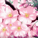 Icône du serveur 𝑳𝒐𝒌𝒊 🌸