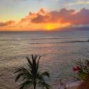 Icône du serveur Hawaii 🌴