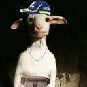 Icône du serveur Wᴀᴡ x ?