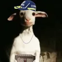 Icône du serveur Wᴀᴡ x ?