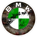 Icône du serveur ✗BMW✗M✗Performance✗