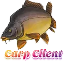 Icône du serveur Carp Client