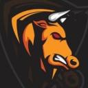 Icône du serveur BSX-Esport