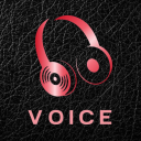 Icône du serveur voice