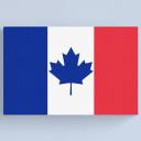 Icône du serveur PVT | France - Canada