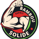 Icône du serveur Esprit Bambou Solide