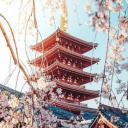 Icône du serveur 𝐔𝐧𝐢𝐯𝐞𝐫𝐬𝐞𝐥