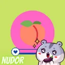 Icône du serveur Nudor fr
