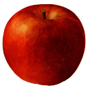 Icône du serveur La Grosse Pomme