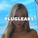 Icône du serveur PlugLeaks