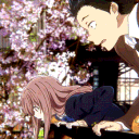 Icône du serveur 🌺 . ω 𝑺𝒆𝒓𝒆𝒏𝒊𝒕𝒚 ✦