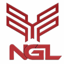Icône du serveur Nordic Gaming League