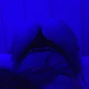 Icône du serveur 100% Nude gratuite