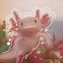 Icône du serveur ๑~*·~☆~*the paw paradise*~☆~·*·~๑