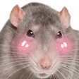 Icône du serveur ⋆☁｡𝑵𝒂𝒎𝒆𝒔𝒊𝒔𝒆 Commu☾-⋆