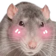 Icône du serveur ⋆☁｡𝑵𝒂𝒎𝒆𝒔𝒊𝒔𝒆 Commu☾-⋆