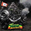 Icône du serveur Ticos MotorSport®