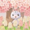 Icône du serveur ⋆౨ৎ˚⟡˖ ࣪Blossom café✦ ݂