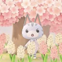 Icône du serveur ⋆౨ৎ˚⟡˖ ࣪Blossom café✦ ݂