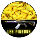 Icône du serveur 🎮 𝙇𝙀𝙎 𝙋𝙄𝙉𝙀𝙐𝙍𝙎 🫦