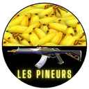 Icône du serveur 🎮 𝙇𝙀𝙎 𝙋𝙄𝙉𝙀𝙐𝙍𝙎 🫦