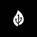 Icône du serveur P