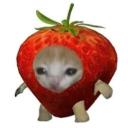 Icône du serveur *𝑒𝓋𝑒𝓇𝓎𝓇𝑒𝒹*