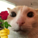 Icône du serveur 🌺 𝙹𝙻𝚂 🌺