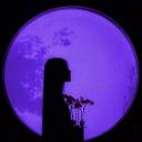 Icône du serveur Sensoria