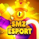 Icône du serveur ⚡Smz⚡|Esport 💛