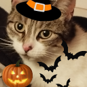 Icône du serveur Nuage・🐈🎃