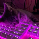 Icône du serveur La papoterie 🫂