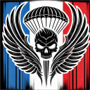 Icône du serveur International Nations Task Forces