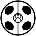 Icône du serveur stream-miraculous