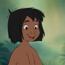 Icône du serveur Mowgli 
