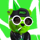 Icône du serveur Brazy Commu