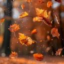 Icône du serveur 🍂 Lunaris