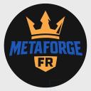 Icône du serveur MetaForge-FR