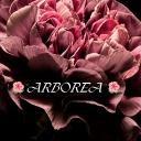 Icône du serveur 🌺°Arboréa°🌺