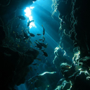 Icône du serveur 𝑺𝒖𝒃𝒏𝒐𝒕𝒊𝒄𝒂