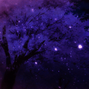 Icône du serveur ⋆. 𐙚 ˚𝐴𝑞𝑢𝑎𝑙𝑖𝑠