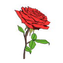 Icône du serveur MoonFall