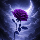 Icône du serveur MoonFall🌙