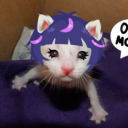 Icône du serveur Sayona's Hub