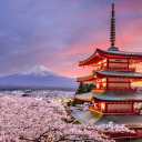 Icône du serveur Le Fuji