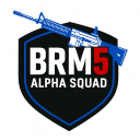 Icône du serveur Blackhawk Rescue Mission 5 Groupe ALPHA