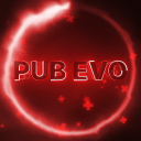 Icône du serveur PuB evo
