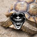 Icône du serveur Tortue Mazo