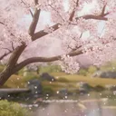Icône du serveur 🌸🌸_Sakura_Arcadia_🌸🌸
