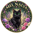 Icône du serveur ✦ Nala Community